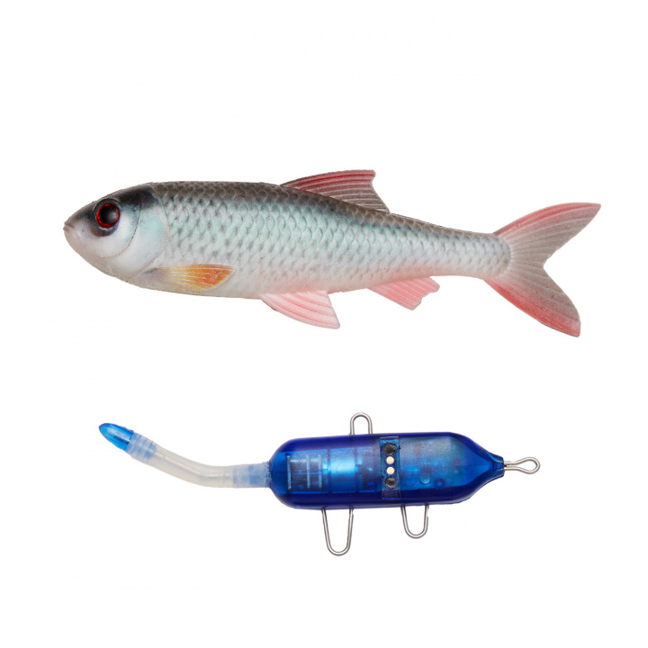 PulzBait Starter Kit Roach 15cm i gruppen Fiskedrag / PulzBait hos Jiggar Sverige AB (2000-03-r)